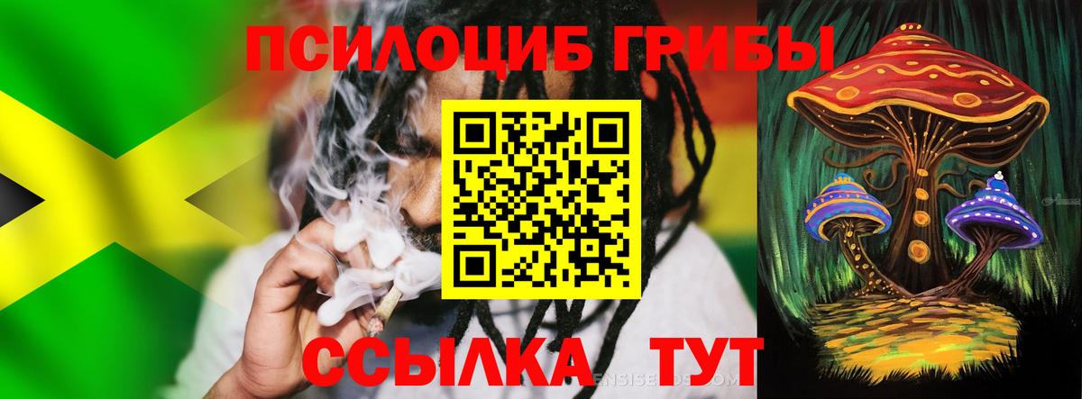 Галлюциногенные грибы MAGIC MUSHROOMS  Псилоцибиновые грибы Magic Shrooms  Вход с VPN  Пенза 